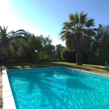 Bed and Breakfast La Ginestra Трани Экстерьер фото