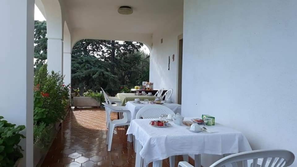Bed and Breakfast La Ginestra Трани Экстерьер фото