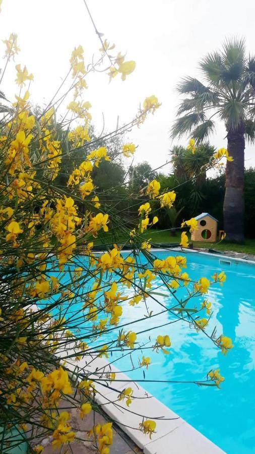 Bed and Breakfast La Ginestra Трани Экстерьер фото