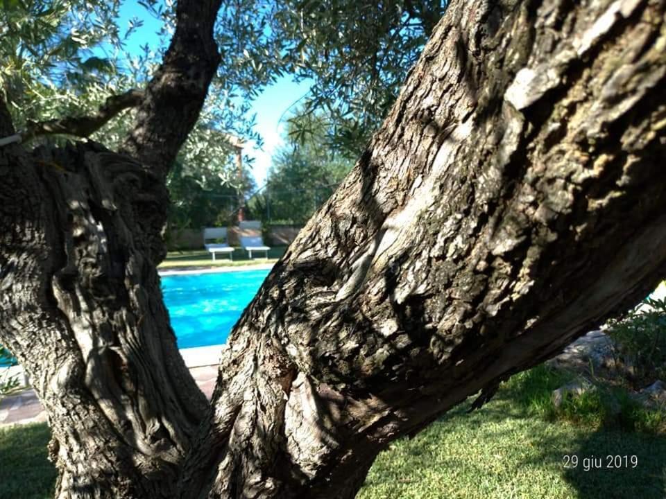 Bed and Breakfast La Ginestra Трани Экстерьер фото